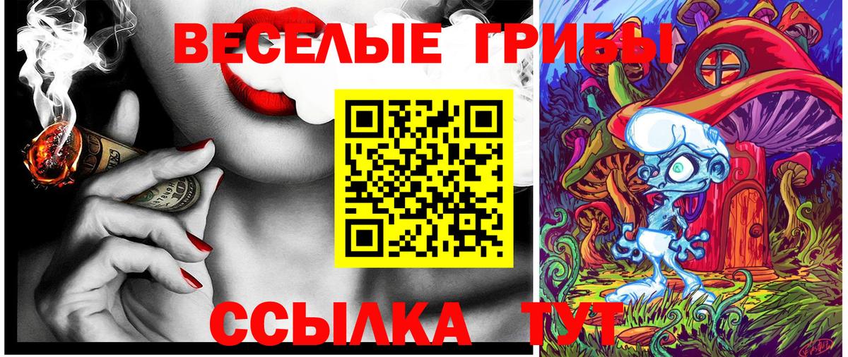Галлюциногенные грибы GOLDEN TEACHER  хочу наркоту  Аргун  Вход с VPN 